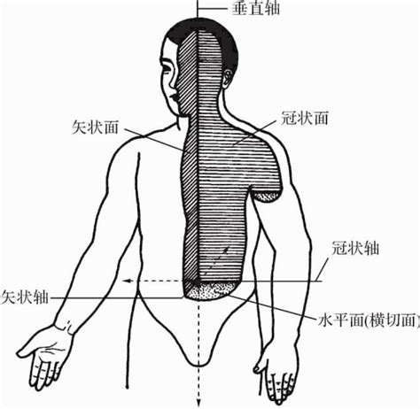 基本上 意思